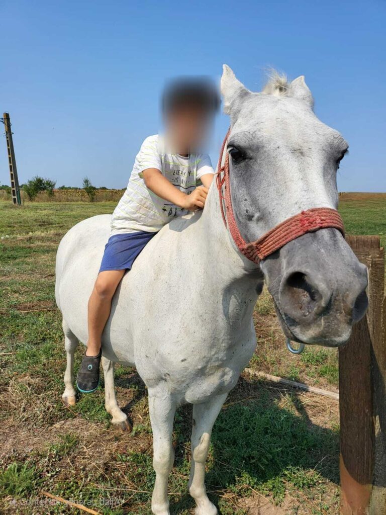 Copil călare pe un cal alb